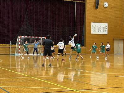 徳島県高等学校ハンドボール選手権大会結果1